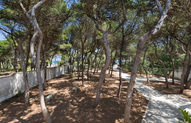 Masseria Villa - Foto 68