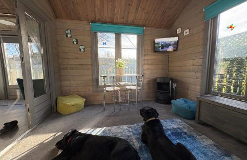 Daisy Cabin - Foto 49