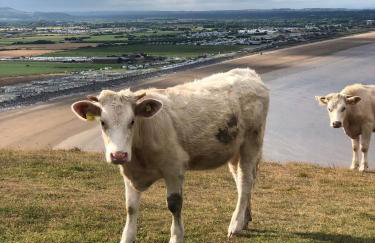 Ocean Drive BOUTIQUE Apartment Adults only Dog friendly - Foto 20