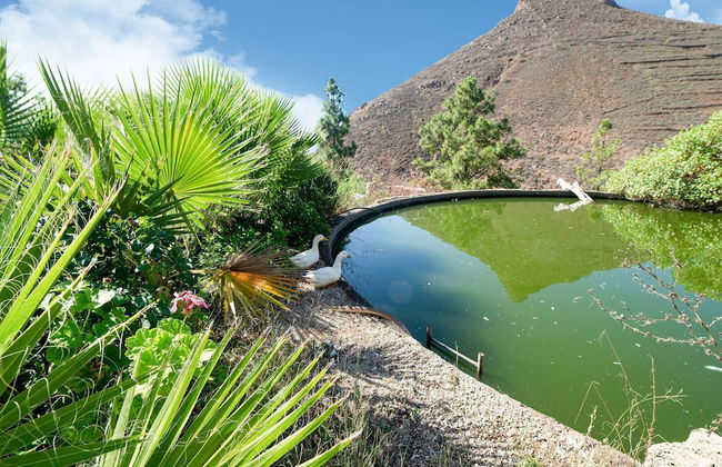 Appealing Holiday Home in La Escalona With Mountain Views - Photo 34