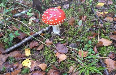 Views for miles - Foto 8