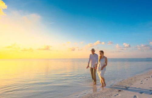 Cozy Coastal Paradise On Siesta Key 7 mins to beach - Foto 25