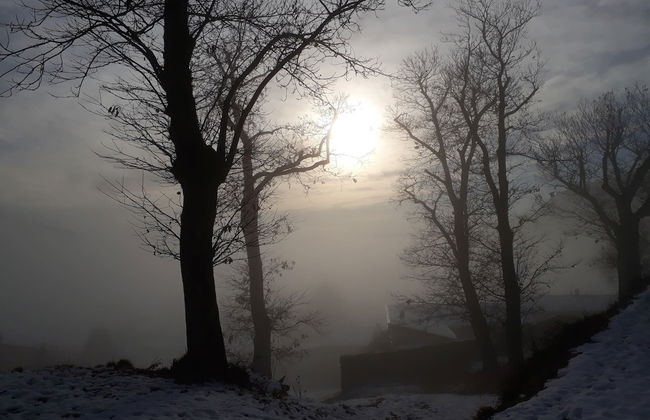 Casa Hürlimann Erholung Im Malcantone - Photo 28