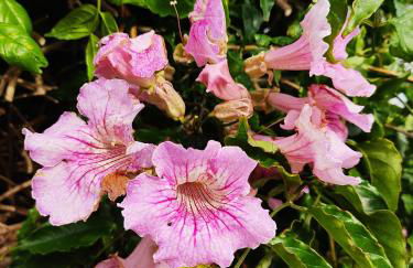 Casa sol y montaña - Photo 32