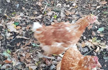 L'Eternet - Photo 15