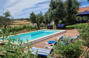 Monte das Aranhas - Foto 41