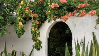 Villa Sara di Puglia - Foto 5