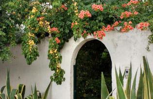 Villa Sara di Puglia - Foto 5