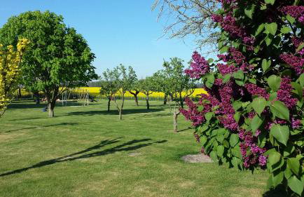 Landferienhof "Müritzufer" - Foto 5