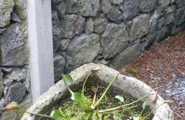 Casa Alto da Ladeira - Photo 47