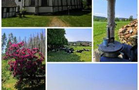 Ferienwohnung Amselnest - Foto 15