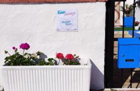 Casa Flamingo House - Photo 11