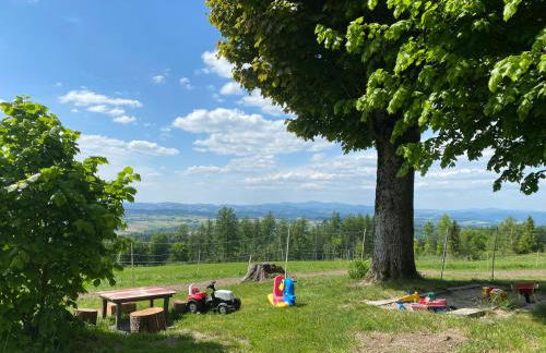 Berg-Panorama-Ferienwohnungen Gut-Lichtenau - Foto 67
