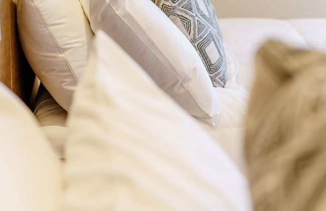 Casa Libre - Photo 36