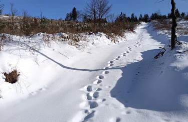 Ferienwohnung Gute Zeit - Foto 20