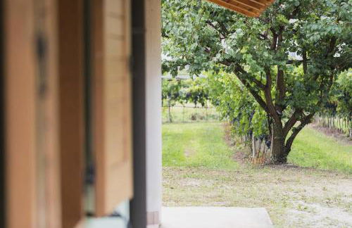 Agriturismo Sarca House - Foto 22