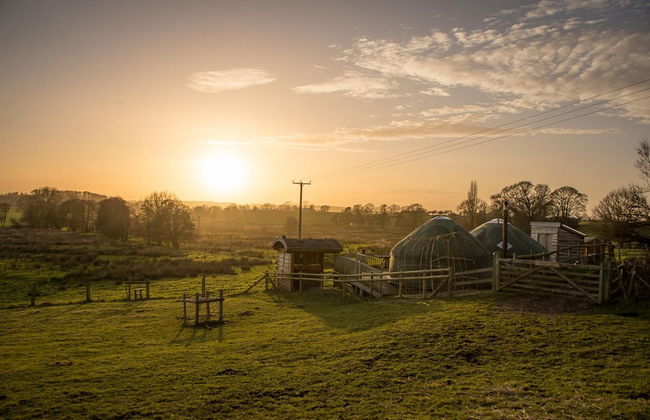 Mongolian Yurts Fordhall Organic Farm - Photo 35