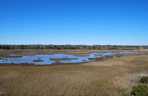 Second Row Stunning Ocean and Marsh Views - Foto 10