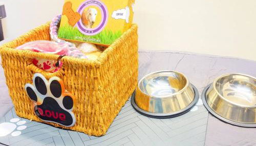 Sleeps 10 + Coffee bar + Game Room + Train to CHGO - Foto 4, pet friendly