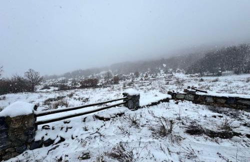 Forest House - Foto 17