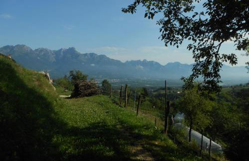 Agriturismo La Casa Nei Boschi - Foto 74