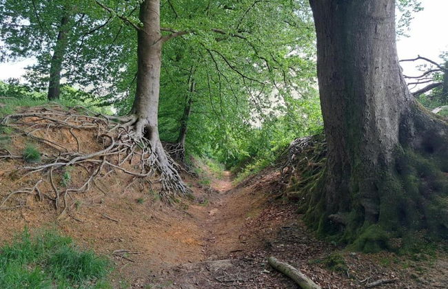 Cozy Villa in the Middle of the Achterhoek - Foto 23