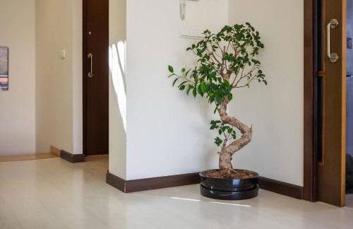 Cielos de Cotobro - Foto 27