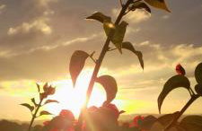 Casa Vista do Vale próxima ao Vale dos Vinhedos - Foto 33