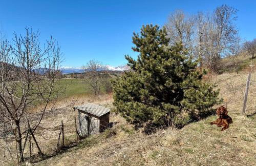 Les Chatcureuils - Foto 30