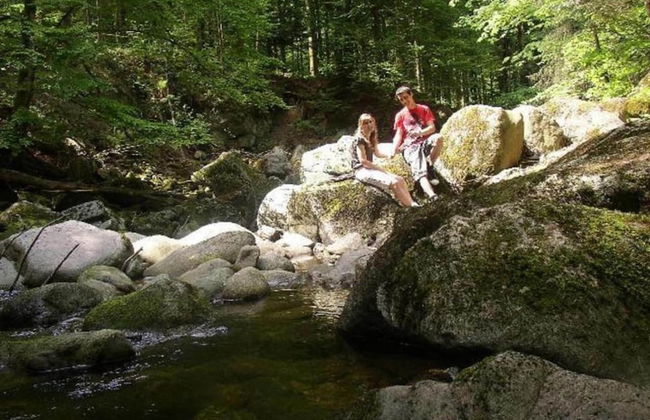 Inviting Apartment in Freyung With Sauna & Indoor Pool - Foto 76