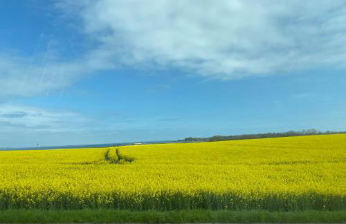 My Baltic Sea Place House by the sea 7 - Foto 16