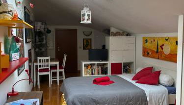 A Modo Mio - Monolocale - Zona Stadio Ospedale Maggiore - Foto 2