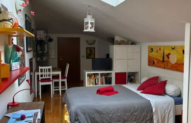 A Modo Mio - Monolocale - Zona Stadio Ospedale Maggiore - Foto 2