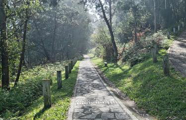 Pura Vida Estaño - Terraza privada con vistas al mar y acceso a la playa - Foto 33