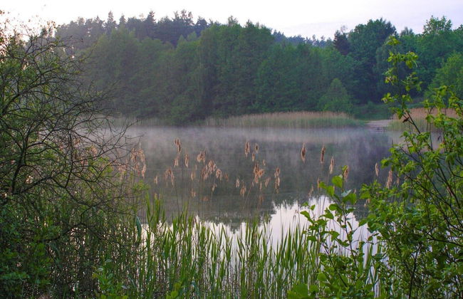 Haus am Gardersee mit Garten - Photo 19
