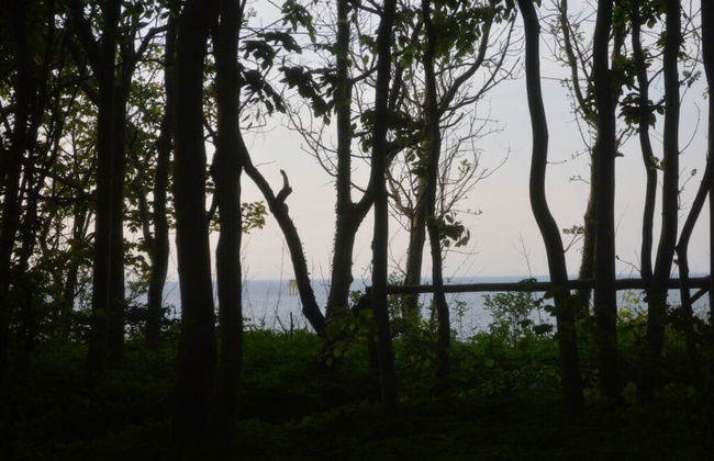 2 in the Baltic Sea Villa Gesine - Foto 8