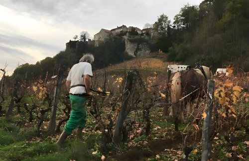 Gîte À La Ferme - Le Nid - Foto 12