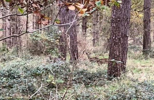 Nightjar Lodge - Adults Only - Foto 16