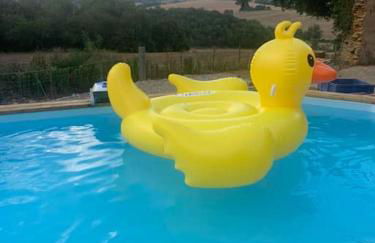 Gite à la ferme avec jacuzzi et piscine chauffée - Foto 21