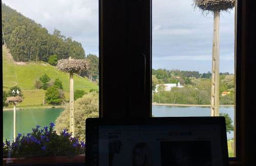 PequeñoCabárceno - Foto 14