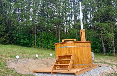 BIESZCZADZKA Antosiówka - Foto 26