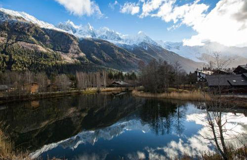 Apartment Chéserys, Alpes Travel, Les Praz Sleeps 2-4 - Foto 29