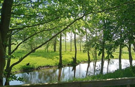 Landhaus Sonnenglück - Foto 20