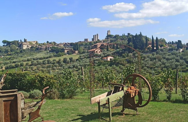 "Recorre las onduladas colinas de Chianti" con almuerzo y degustaciones de vino - Foto 35