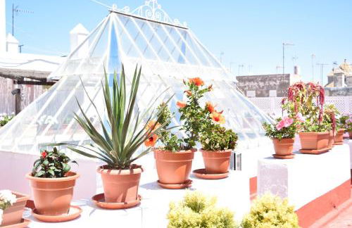 Apartamento La Discusión de Veedor 12 - Foto 5