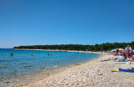 Apartman Moreno, Gajac-Zrće beach-Novalja - Photo 15