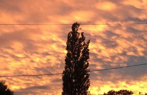 Peaceful, comfortable retreat with pool - Foto 60