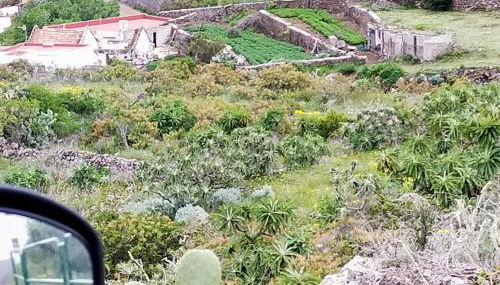 Casa Omaira Erese - Foto 4