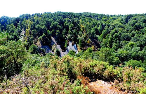 Gîte Le Bourgneuf - Photo 47