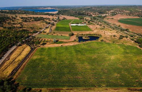 MONTE DA RAPOSINHA Enoturismo, Montargil - Foto 58